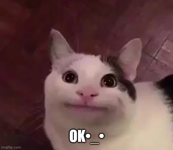 Awkward Cat | OK•_• | image tagged in awkward cat | made w/ Imgflip meme maker
