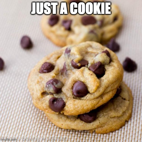 Cookie |  JUST A COOKIE | image tagged in punny cookies,cookies,cookie | made w/ Imgflip meme maker