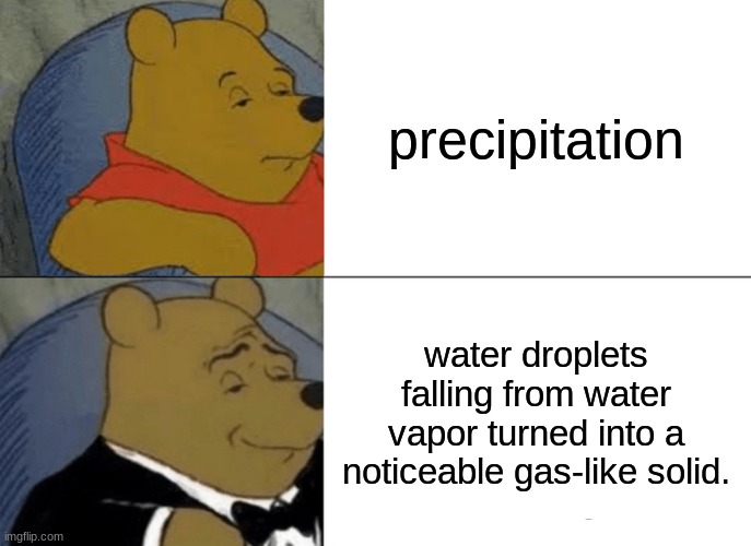 im correct,right? | precipitation; water droplets falling from water vapor turned into a noticeable gas-like solid. | image tagged in memes,tuxedo winnie the pooh | made w/ Imgflip meme maker