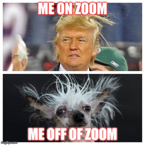 Messy hair | ME ON ZOOM; ME OFF OF ZOOM | image tagged in messy hair | made w/ Imgflip meme maker