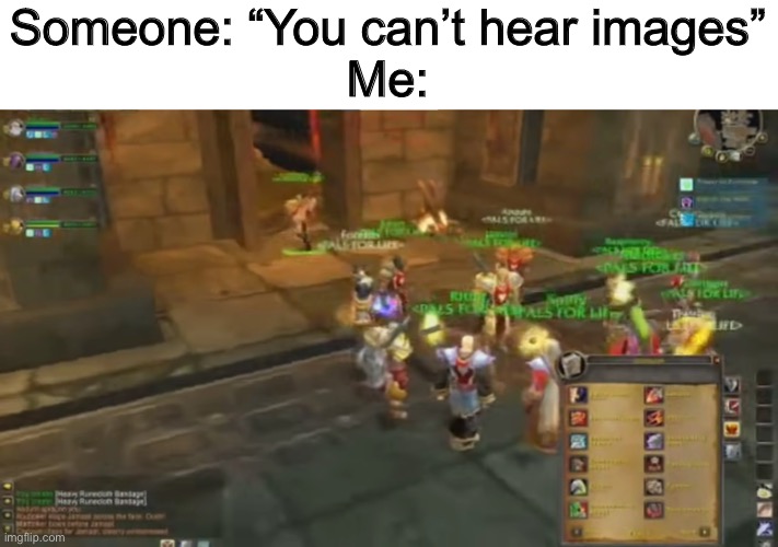 Leeroy Jenkins |  Someone: “You can’t hear images”
Me: | image tagged in leeroy jenkins,world of warcraft,memes,funny,wow | made w/ Imgflip meme maker