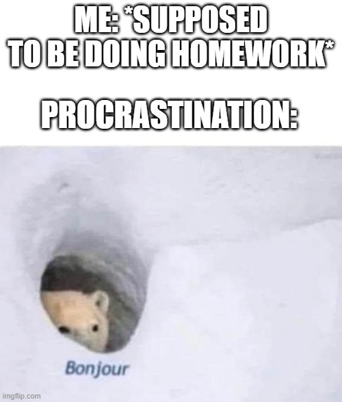 I should get of Imgflip and do my homework... how about just a few more minutes... | ME: *SUPPOSED TO BE DOING HOMEWORK*; PROCRASTINATION: | image tagged in bonjour,procrastination,adios,adios bonjour | made w/ Imgflip meme maker