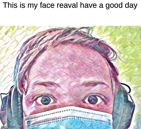 My face |  This is my face reaval have a good day | image tagged in my face when | made w/ Imgflip meme maker