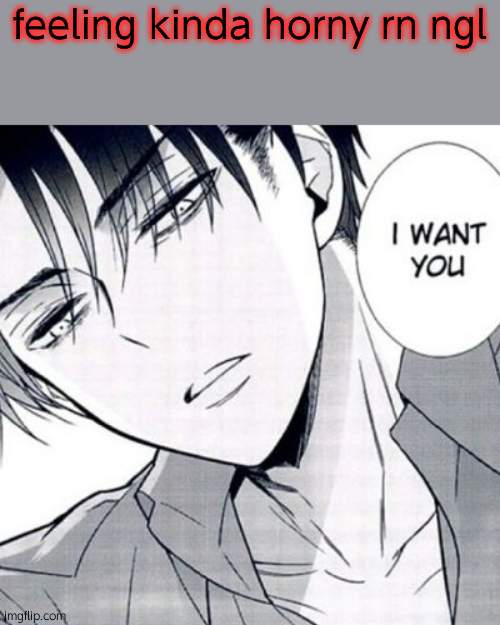 also old temp go brrr | feeling kinda horny rn ngl | image tagged in horny levi | made w/ Imgflip meme maker