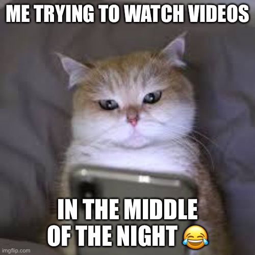 Silly | ME TRYING TO WATCH VIDEOS; IN THE MIDDLE OF THE NIGHT 😂 | image tagged in oh no | made w/ Imgflip meme maker