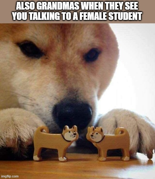 dog now kiss  | ALSO GRANDMAS WHEN THEY SEE YOU TALKING TO A FEMALE STUDENT | image tagged in dog now kiss | made w/ Imgflip meme maker