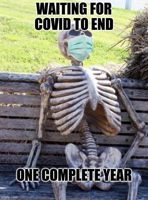 Waiting Skeleton | WAITING FOR COVID TO END; ONE COMPLETE YEAR | image tagged in memes,waiting skeleton | made w/ Imgflip meme maker