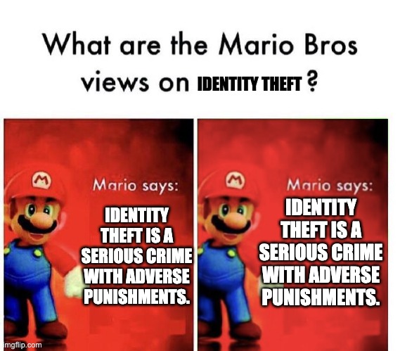 I never experienced this before.... | IDENTITY THEFT; IDENTITY THEFT IS A SERIOUS CRIME WITH ADVERSE PUNISHMENTS. IDENTITY THEFT IS A SERIOUS CRIME WITH ADVERSE PUNISHMENTS. | image tagged in mario bros views | made w/ Imgflip meme maker