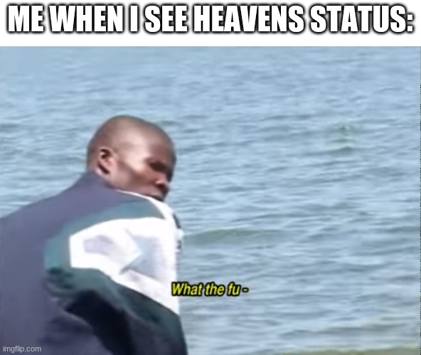 What the fu- | ME WHEN I SEE HEAVENS STATUS: | image tagged in what the fu- | made w/ Imgflip meme maker