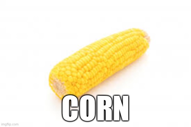 CORN | made w/ Imgflip meme maker