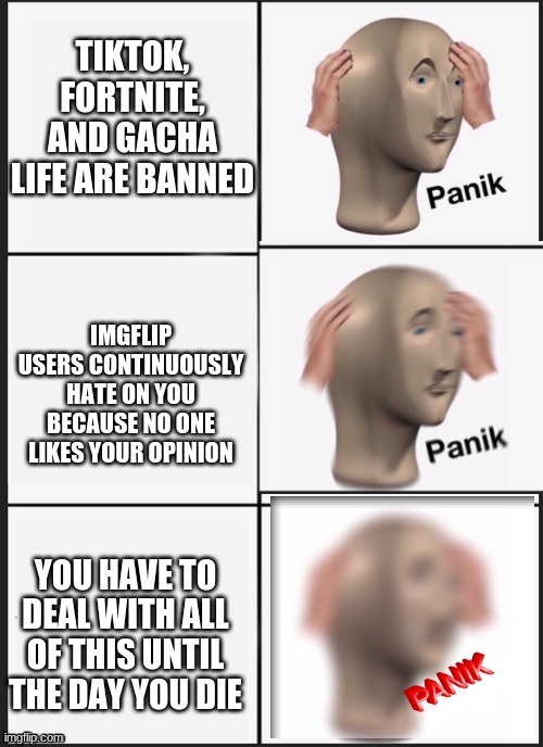 Imgflip won't stop hating on opinions | TIKTOK, FORTNITE, AND GACHA LIFE ARE BANNED; IMGFLIP USERS CONTINUOUSLY HATE ON YOU BECAUSE NO ONE LIKES YOUR OPINION; YOU HAVE TO DEAL WITH ALL OF THIS UNTIL THE DAY YOU DIE | image tagged in panik panik panik | made w/ Imgflip meme maker