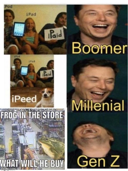 Why Have I Reposted This | image tagged in boomer,millennial,gen z | made w/ Imgflip meme maker
