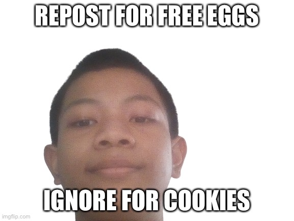 eggs make you healthy | REPOST FOR FREE EGGS; IGNORE FOR COOKIES | image tagged in akifhaziq head | made w/ Imgflip meme maker
