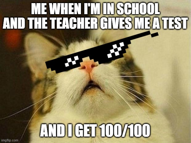 Scared Cat Meme | ME WHEN I'M IN SCHOOL AND THE TEACHER GIVES ME A TEST; AND I GET 100/100 | image tagged in memes,scared cat | made w/ Imgflip meme maker