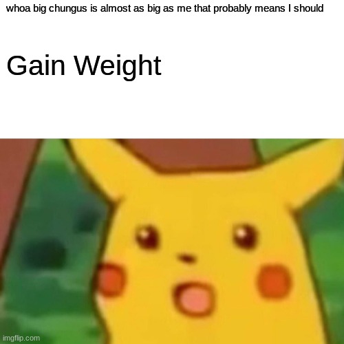 Surprised Pikachu Meme | whoa big chungus is almost as big as me that probably means I should; Gain Weight | image tagged in memes,surprised pikachu | made w/ Imgflip meme maker