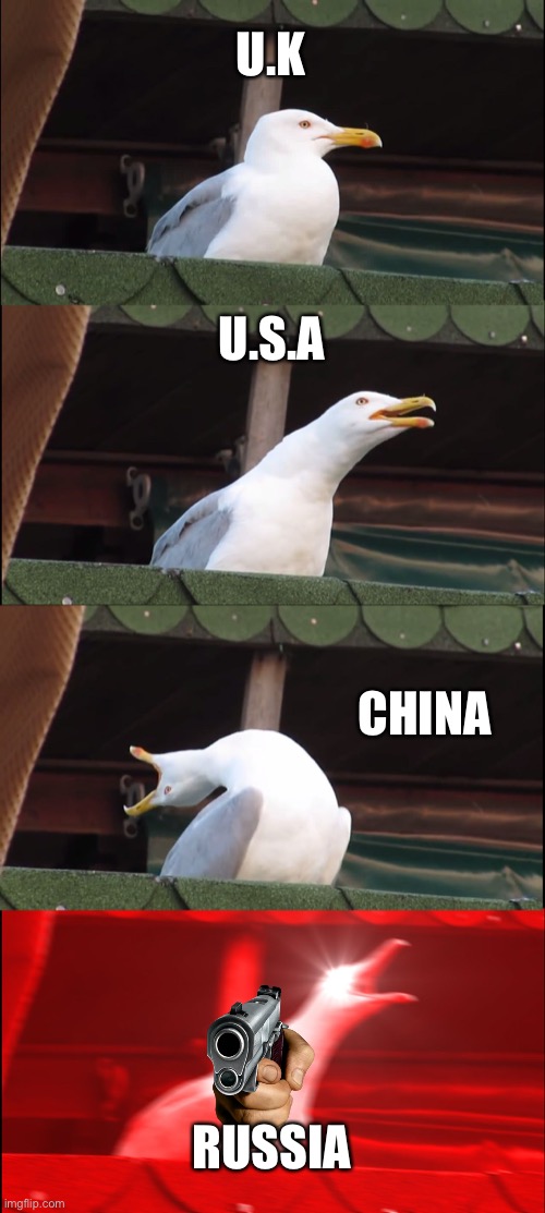 Inhaling Seagull | U.K; U.S.A; CHINA; RUSSIA | image tagged in memes,inhaling seagull | made w/ Imgflip meme maker