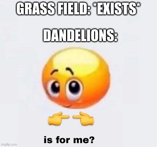 dandelions do be everywhere | GRASS FIELD: *EXISTS*; DANDELIONS: | image tagged in is for me | made w/ Imgflip meme maker
