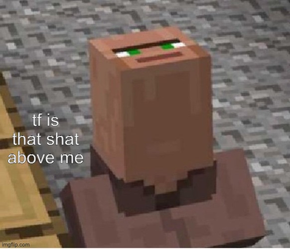 Minecraft Villager Looking Up | tf is that shat above me | image tagged in minecraft villager looking up | made w/ Imgflip meme maker