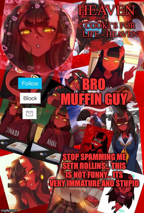 MuffinGuy_Official | BRO MUFFIN GUY; STOP SPAMMING ME SETH ROLLINS... THIS IS NOT FUNNY... ITS VERY IMMATURE AND STUPID | image tagged in heaven meru | made w/ Imgflip meme maker