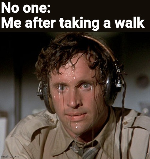 Relatable? |  No one:
Me after taking a walk | image tagged in sweating on commute after jiu-jitsu | made w/ Imgflip meme maker