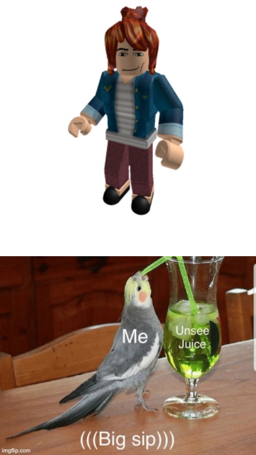 It's a female Robloxian with male body parts. | image tagged in unsee juice | made w/ Imgflip meme maker