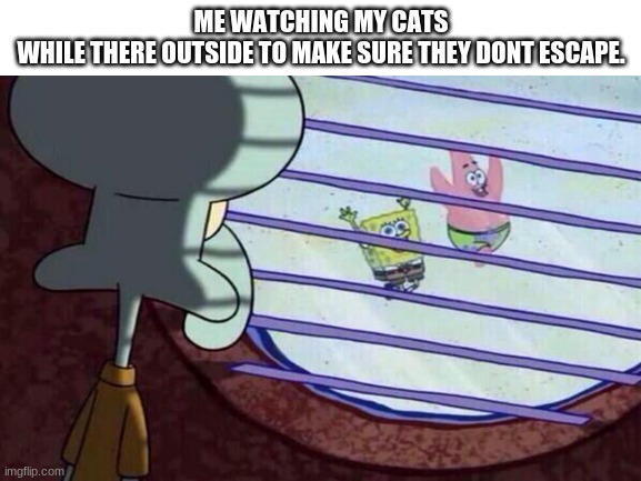 this is my life | ME WATCHING MY CATS
WHILE THERE OUTSIDE TO MAKE SURE THEY DONT ESCAPE. | image tagged in watching | made w/ Imgflip meme maker
