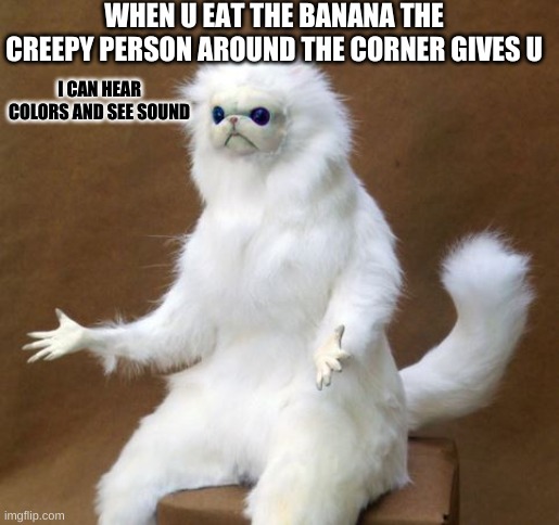 crack monkey | WHEN U EAT THE BANANA THE CREEPY PERSON AROUND THE CORNER GIVES U; I CAN HEAR COLORS AND SEE SOUND | image tagged in persian white monkey | made w/ Imgflip meme maker