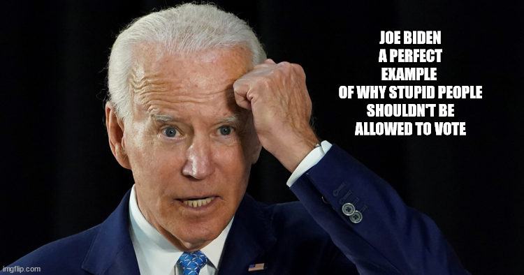 Dumbo Joe | JOE BIDEN
A PERFECT EXAMPLE 
OF WHY STUPID PEOPLE
SHOULDN'T BE ALLOWED TO VOTE | image tagged in joe biden | made w/ Imgflip meme maker