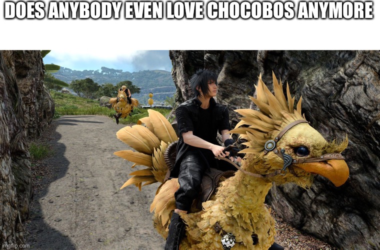 Do you remember these guys...? | DOES ANYBODY EVEN LOVE CHOCOBOS ANYMORE | image tagged in chocobo riding | made w/ Imgflip meme maker