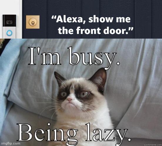 I'm busy being lazy | image tagged in i'm busy,lol,hah,meme,funny | made w/ Imgflip meme maker
