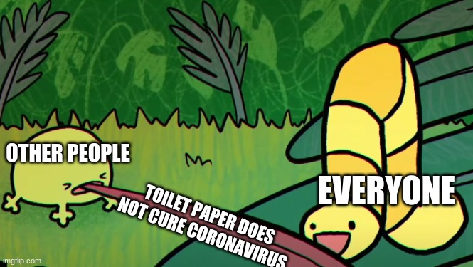 new meme template . hopefully people know about if its on the front page | OTHER PEOPLE; EVERYONE; TOILET PAPER DOES NOT CURE CORONAVIRUS | image tagged in the frog misses the worm | made w/ Imgflip meme maker