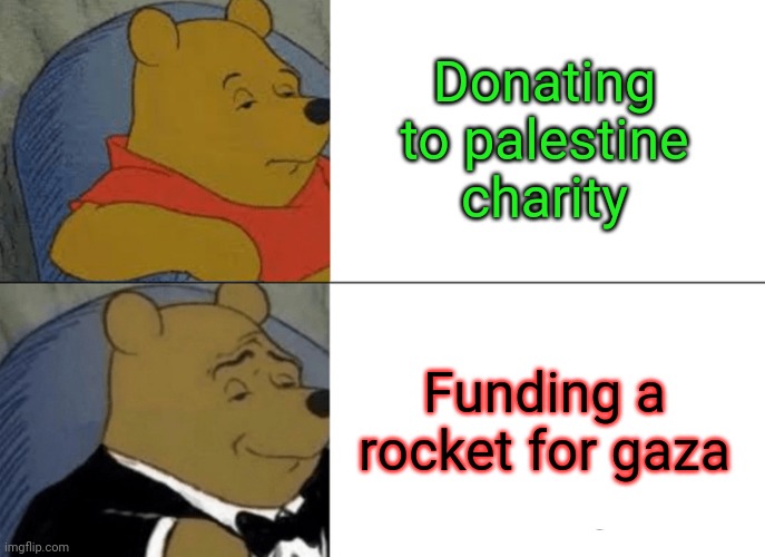 A contribution fee to all that witness | Donating to palestine charity; Funding a rocket for gaza | image tagged in memes,tuxedo winnie the pooh,palestine,gaza,missle,charity | made w/ Imgflip meme maker