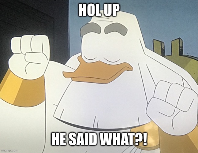 Hol up | HOL UP; HE SAID WHAT?! | image tagged in hol up | made w/ Imgflip meme maker