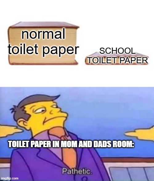 too true | normal toilet paper; SCHOOL TOILET PAPER; TOILET PAPER IN MOM AND DADS ROOM: | image tagged in big book small book | made w/ Imgflip meme maker