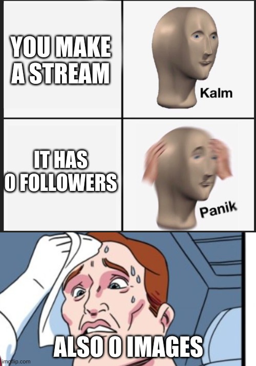 what happens to your stream | YOU MAKE A STREAM; IT HAS 0 FOLLOWERS; ALSO 0 IMAGES | image tagged in stream,sad,kalm | made w/ Imgflip meme maker