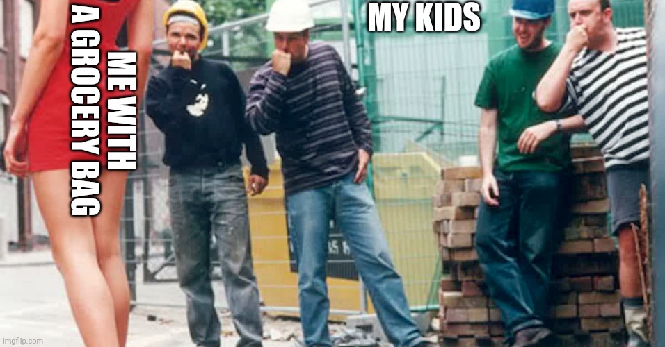MY KIDS; ME WITH A GROCERY BAG | image tagged in funny memes | made w/ Imgflip meme maker