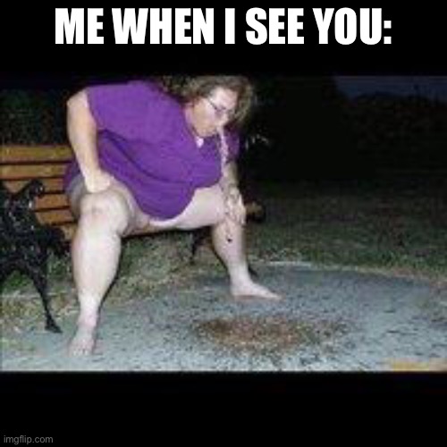fat woman throwing up | ME WHEN I SEE YOU: | image tagged in fat woman throwing up | made w/ Imgflip meme maker