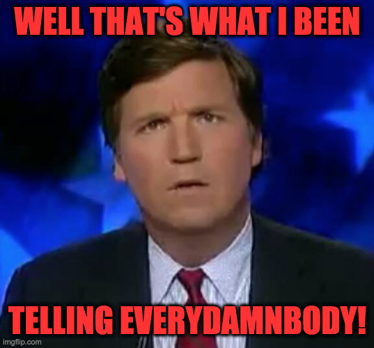 confused Tucker carlson | WELL THAT'S WHAT I BEEN TELLING EVERYDAMNBODY! | image tagged in confused tucker carlson | made w/ Imgflip meme maker