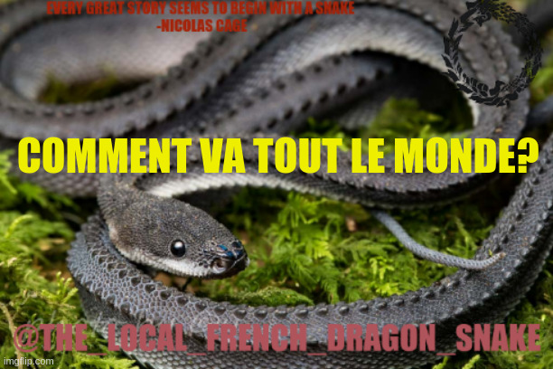 the_local_french_dragon_snakes announcement template | COMMENT VA TOUT LE MONDE? | image tagged in bonjour | made w/ Imgflip meme maker