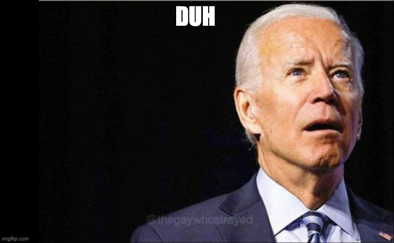 Joe Biden | DUH | image tagged in joe biden | made w/ Imgflip meme maker