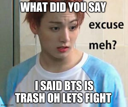 Excuse me? | WHAT DID YOU SAY; I SAID BTS IS TRASH OH LETS FIGHT | image tagged in excuse me | made w/ Imgflip meme maker
