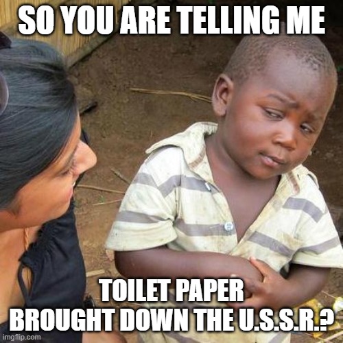 Charmin and the USSR | SO YOU ARE TELLING ME; TOILET PAPER BROUGHT DOWN THE U.S.S.R.? | image tagged in memes,third world skeptical kid | made w/ Imgflip meme maker