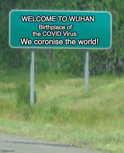 Coronise | WELCOME TO WUHAN; Birthplace of the COVID Virus. We coronise the world! | image tagged in green road sign blank | made w/ Imgflip meme maker