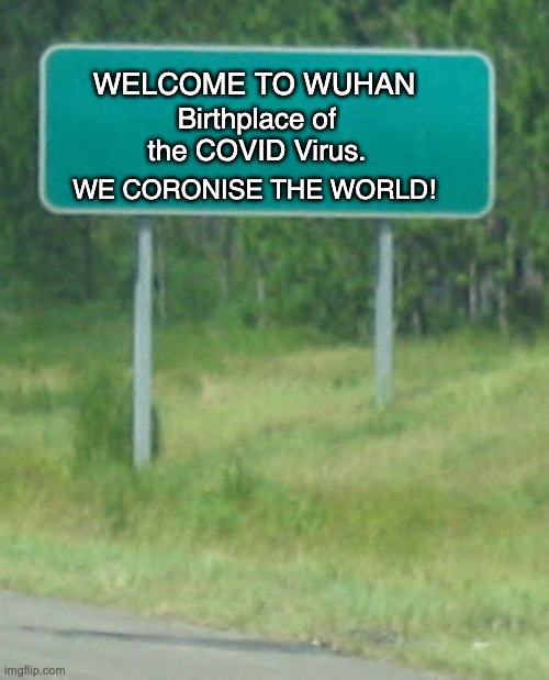 Coronise | WELCOME TO WUHAN; Birthplace of the COVID Virus. WE CORONISE THE WORLD! | image tagged in green road sign blank | made w/ Imgflip meme maker