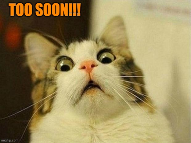 Scared Cat Meme | TOO SOON!!! | image tagged in memes,scared cat | made w/ Imgflip meme maker