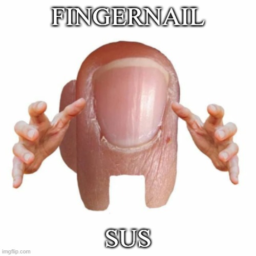 fingernail sus!!!11!!!!!1111! | FINGERNAIL; SUS | image tagged in amogus,memes,yourmom,typewriter,never gonna give you up | made w/ Imgflip meme maker