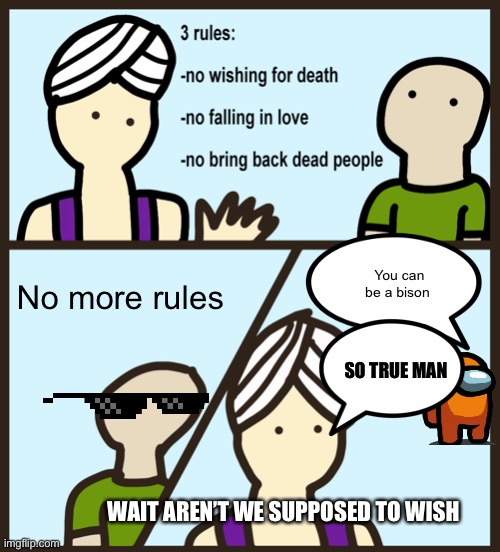The genies talk | You can be a bison; No more rules; SO TRUE MAN; WAIT AREN’T WE SUPPOSED TO WISH | image tagged in genie rules meme | made w/ Imgflip meme maker