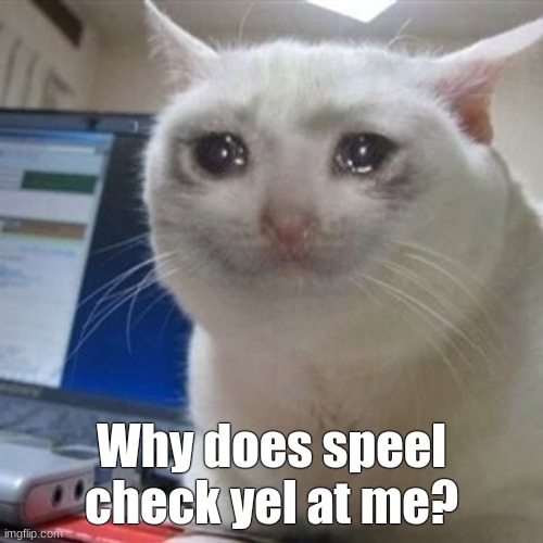 T~T i can speel- | Why does speel check yel at me? | image tagged in crying cat,speel is an inside joke,speel check | made w/ Imgflip meme maker
