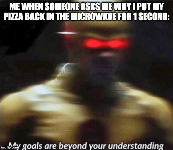my goals are beyond your understanding | ME WHEN SOMEONE ASKS ME WHY I PUT MY PIZZA BACK IN THE MICROWAVE FOR 1 SECOND: | image tagged in my goals are beyond your understanding | made w/ Imgflip meme maker