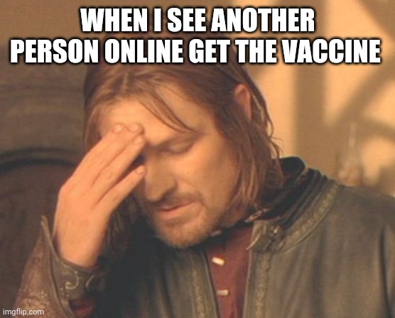 So true |  WHEN I SEE ANOTHER PERSON ONLINE GET THE VACCINE | image tagged in memes,frustrated boromir,covid-19,vaccines,lotr | made w/ Imgflip meme maker